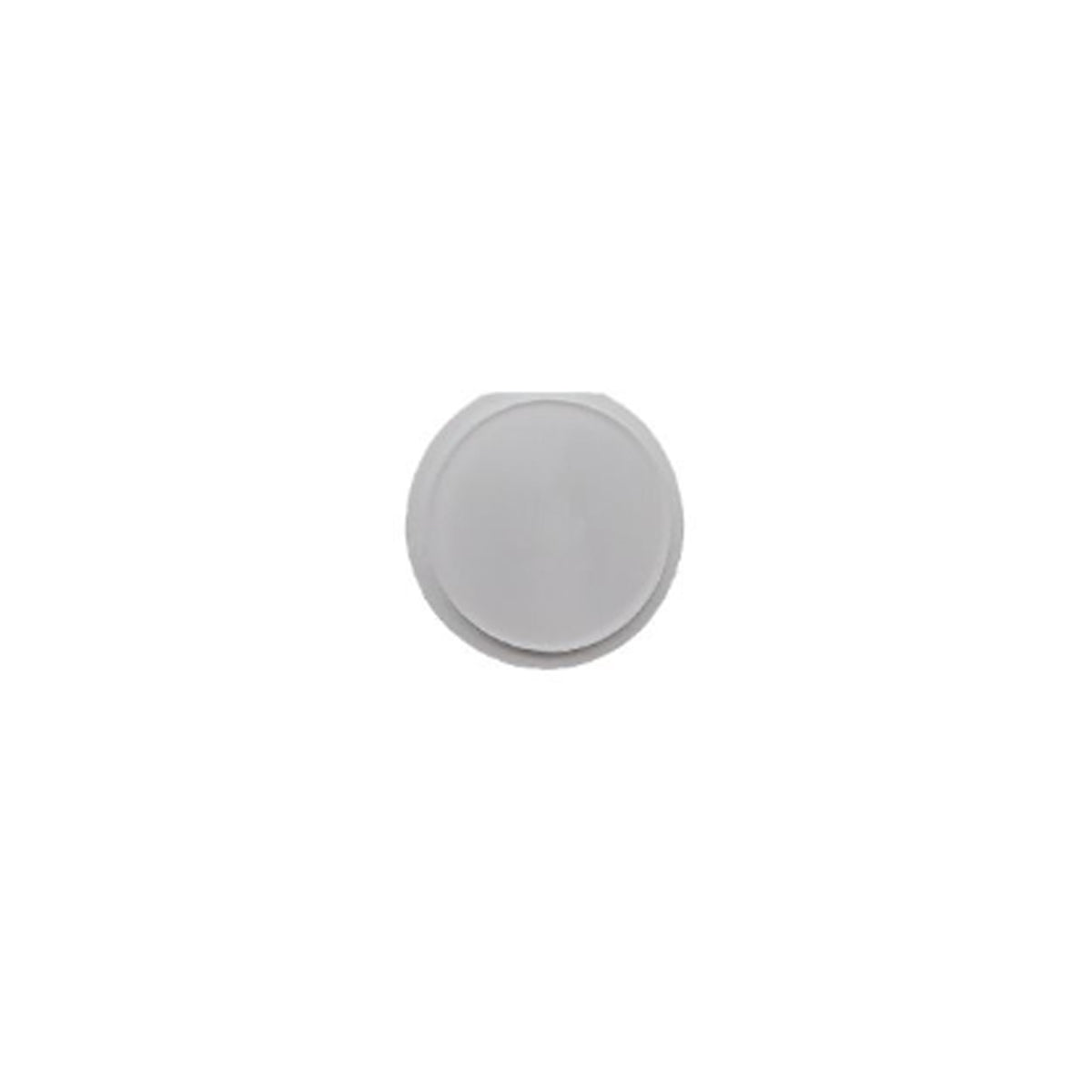 iPad 4 Home Button White