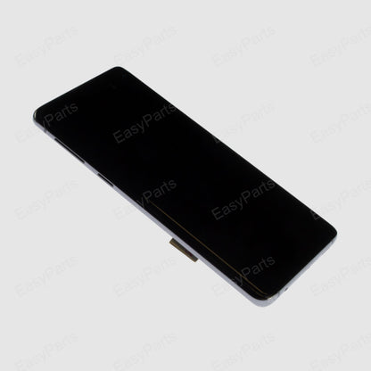 Galaxy S10 OLED With Frame [Flamingo Pink] (Premium)