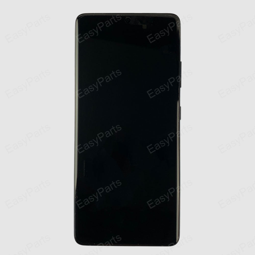 Galaxy S21 Ultra 5G OLED With Frame [Phantom Silver] FOG (REC)